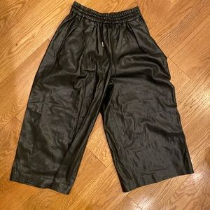 Zara faux leather pants